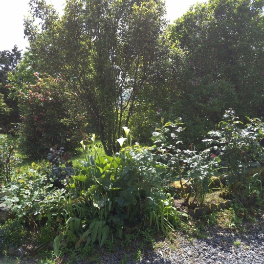  DG IMMOBILIER : Maison / Villa | LANDELLES-ET-COUPIGNY (14380) | 74 m2 | 128 400 € 