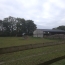  DG IMMOBILIER : Maison / Villa | ISIGNY-SUR-MER (14230) | 155 m2 | 265 000 € 