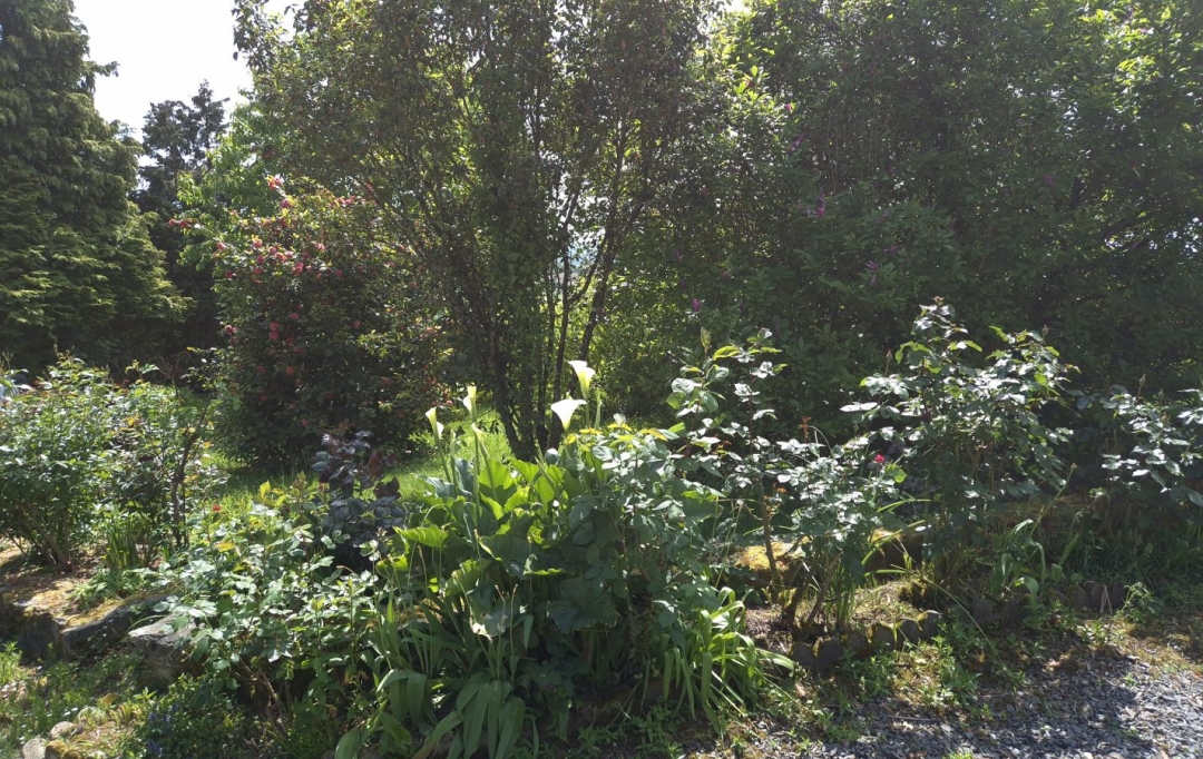DG IMMOBILIER : Maison / Villa | LANDELLES-ET-COUPIGNY (14380) | 74 m2 | 128 400 € 